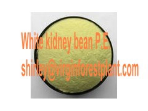 White Kidney Bean P.E. (Shirley At Virginforestplant Dot Com)